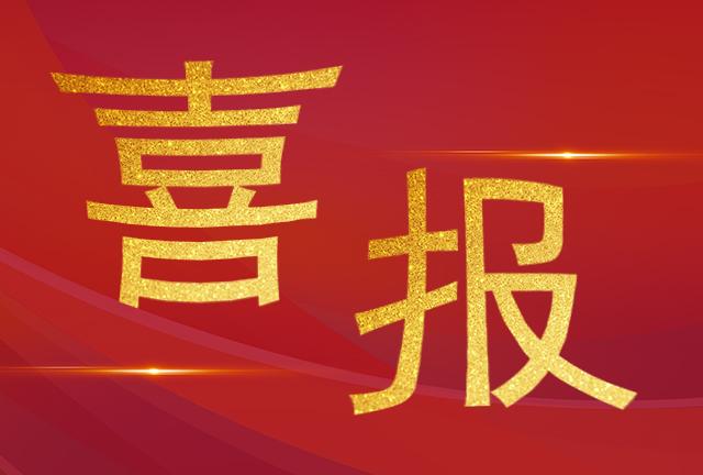 祝賀我司技術(shù)服務(wù)部工程師們榮獲“電力運(yùn)檢之星“