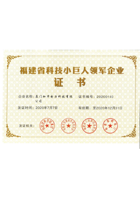 Fujian Province Science and Technology Little Giant Leading Enterprise Certificate